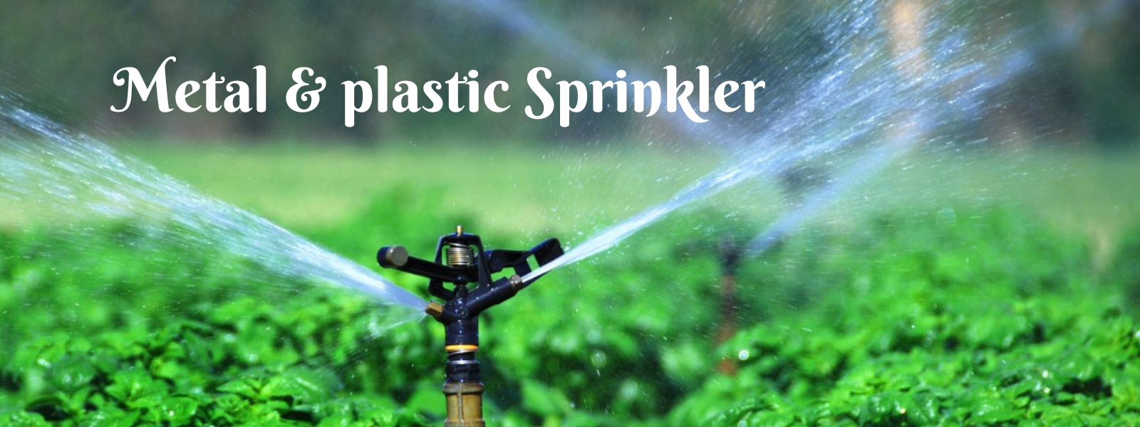 Sprinkler (4) Sprinkler (4)